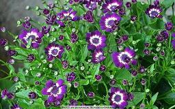 人生感悟经典名言经典句子38句