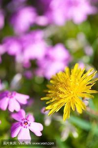 表达心累的说说心情短语摘抄23句