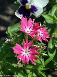 表达我心里难受的心情句子