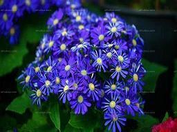 早安很甜很撩的句子收集28句