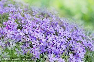 能让人快速开心的句子