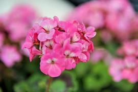 中秋节给领导的文案(精选72句)