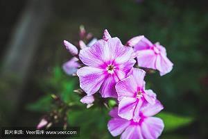 苦心孤诣的意思和造句,用苦心孤诣造句写一段话