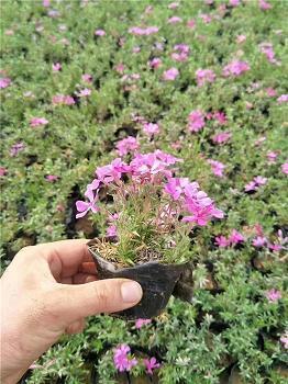 感谢领导鼓励的话简短精辟集合26句