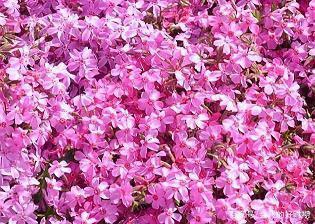 支持老公事业的句子 成功的人不是赢在起点，而是赢在转折点