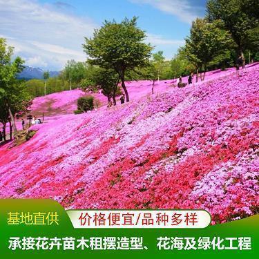 情侣相爱相杀日常文案 相爱相杀的句子唯美短句