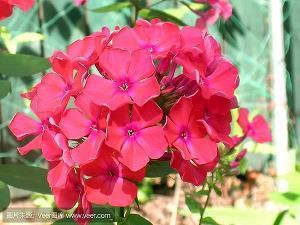 春天来了 春回大地万物复苏的句子26句