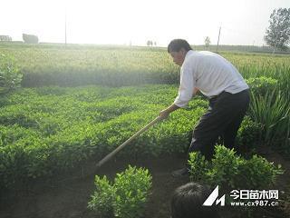 经济发展标语口号(精选40句)