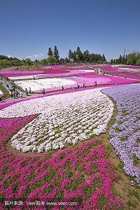 抖音2021年10月最火的句子文案说说(精选87句)