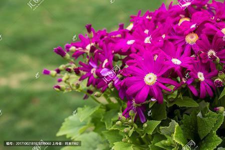 男人最喜欢听的肉麻情话(精选29句)