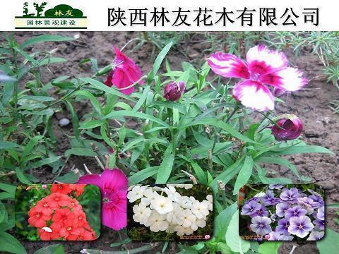 交通事故法律服务广告宣传语