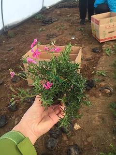 自助餐厅广告宣传语：好吃的就在这