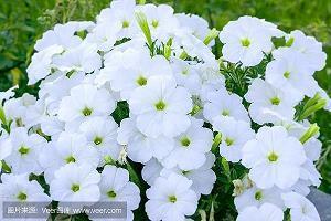 表达凉凉的句子