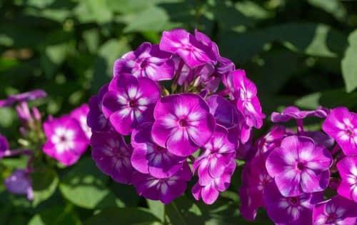 怎么哄女生开心的句子