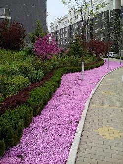 早安经典哲理说说句子78句