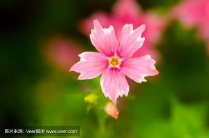 描述心情不好的句子说说53句