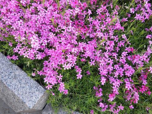 校园文化艺术节标语主题口号 美术艺术节宣传语