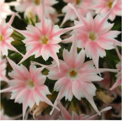 2021最唯美句子96句