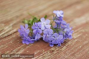 经典说说：只有登上了山顶，才能看到它的美