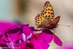 物理励志句子(精选31句)