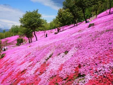 有关写爱情的温暖的句子汇总76句