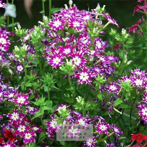 最凄凉最悲伤的句子 唯美简短的句子小清新伤感