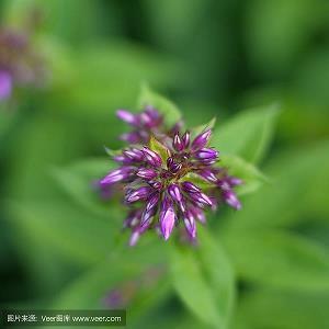 最短的名言名句 优美且富有哲理的经典语录(精选87句)