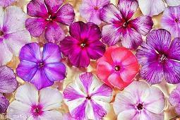 看透人情冷暖的哲理句子(精选28句)