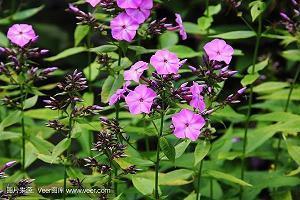 有创意的团队口号 口号大全霸气十足汇编59句