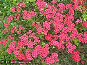 【精品】适合六一儿童节心情说说文案最新汇编83句