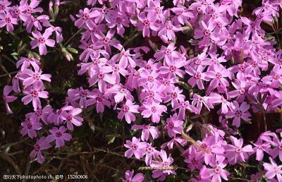 适合夏天官宣恋爱的句子 适合夏天宣布恋爱的句子