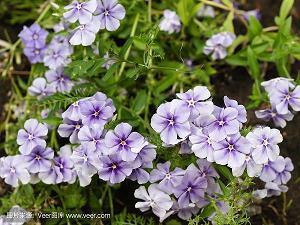 朋友圈心里难过委屈的句子