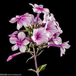 洗被子怎么发朋友圈集合24句