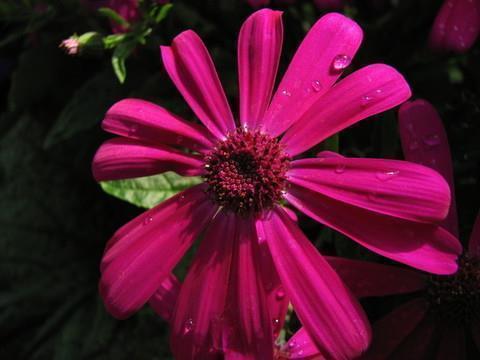 母亲节文案简短超级暖心的祝福语