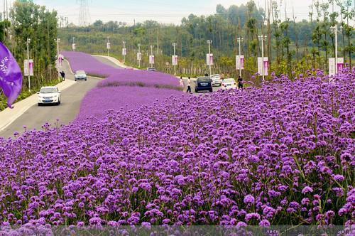 独一无二的扎心句子35句