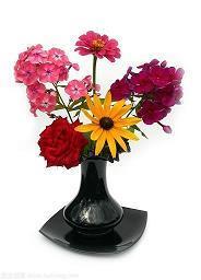 有关学习的名言摘录23句