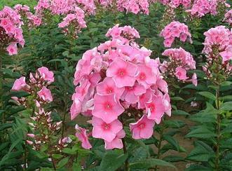 激励的话语 励志短句霸气