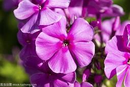 简短而很有深度的句子古风合集75句