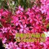 形容悲伤爱情的短句子