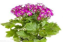 十月你好唯美句子(精选91句)