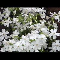 生活感悟句子简短正能量