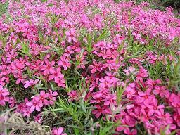 男朋友不开心安慰句子 安慰失落的人的暖心话