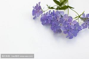 简短心情说说大全78句