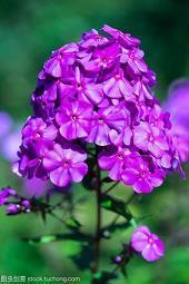 爱到筋疲力尽的句子 爱得好累的句子