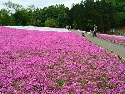 晚安精辟一句话万人点赞 晚安说说简单气质一句话精选62句