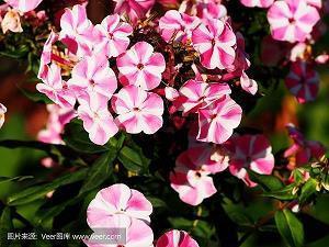 晚安心语说说心情励志语集锦23句