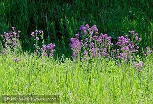 最新抖音热门文案(精选89句)