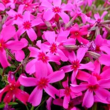 说出一些话伤到人后悔的句子