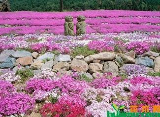 描写晚霞的优美句子(精选29句)