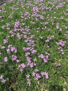 晚安正能量励志寄语 晚安正能量句子汇总82句